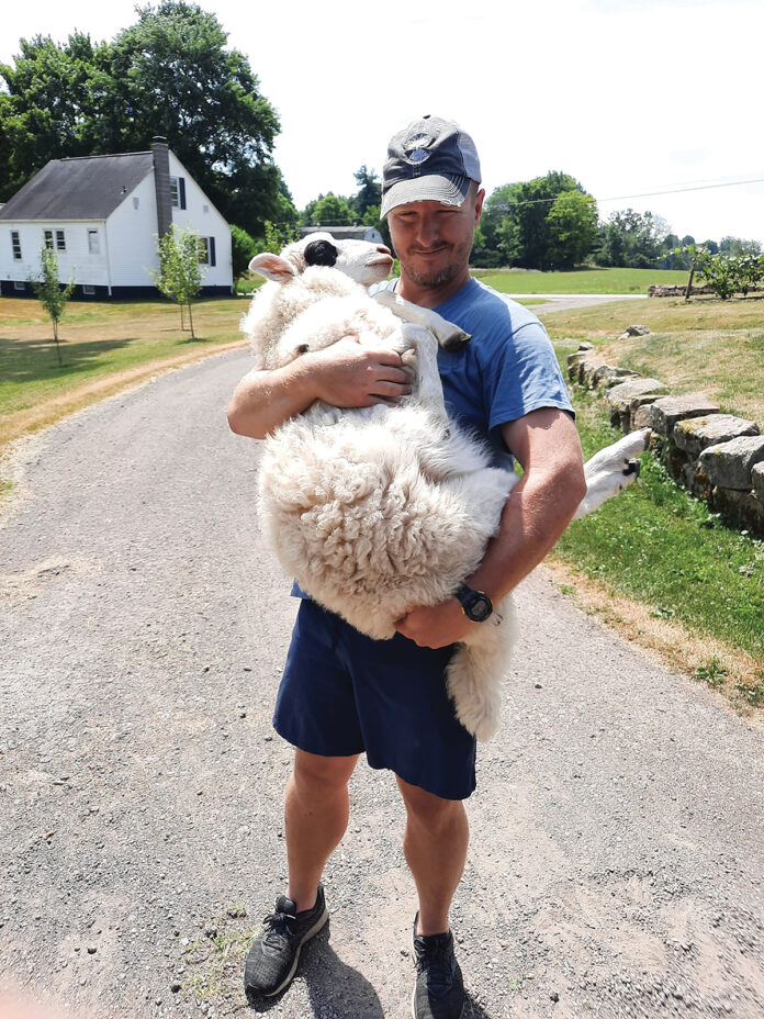Eric Keller and a sheep