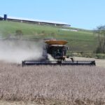Farmers are holding a bad hand in a rigged game soybean harvest