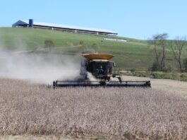 Farmers are holding a bad hand in a rigged game soybean harvest