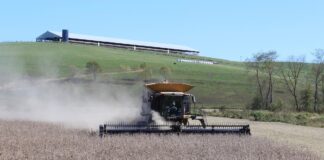 soybean harvest