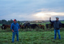 OSU Extension to host grazing workshop Todd Miller and Pete Conkle