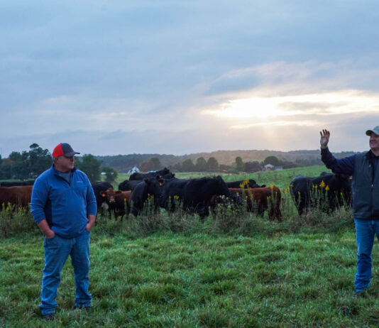 A resolution worth making: Work with your local SWCD Todd Miller and Pete Conkle