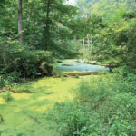 ODNR dedicates scenic river area along Ashtabula State Scenic River William “Bud” Hill Scenic River Access Area