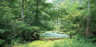 ODNR dedicates scenic river area along Ashtabula State Scenic River William “Bud” Hill Scenic River Access Area