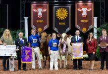 World Dairy Expo offers all the thrills wishful thinking