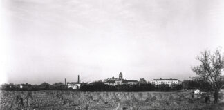 Land grant universities have lost their way 1911 university farm