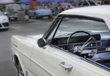 A picture is worth a thousand words and countless memories