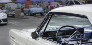 A picture is worth a thousand words and countless memories