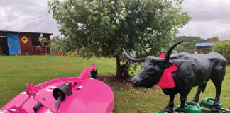 S&S Equipment raffling off limited edition Bush Hog cutter for breast cancer pink brush hog