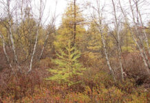 ODNR teams up with local partners to expand Cooperrider-Kent Bog State Nature Preserve Cooperrider-Kent Bog State Nature Preserve