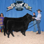 Grand champion cow-calf pair