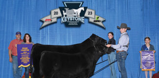 Locals win big at Angus KILE show Grand champion cow-calf pair