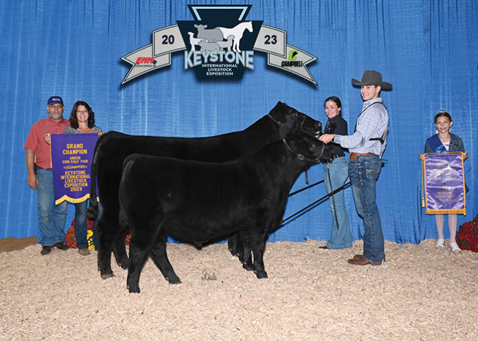 Grand champion cow-calf pair Grand champion cow-calf pair