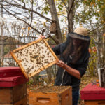 Farm and Dairy staff wins national, international awards