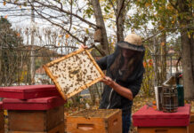 Farm and Dairy staff wins national, international awards