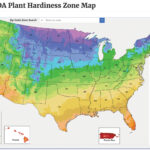USDA updates Plant Hardiness Zone Map plant hardiness zones map