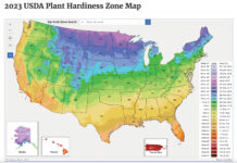 USDA updates Plant Hardiness Zone Map plant hardiness zones map