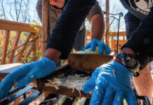 How to make sauerkraut