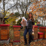 Bees hives in Pittsburgh produce lanternfly honey