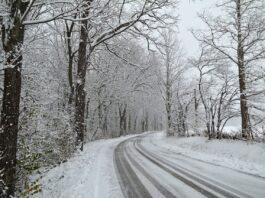 Eliza Blue: Surviving the winter road trip snowy road