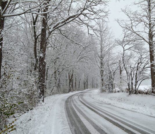 Eliza Blue: Surviving the winter road trip snowy road