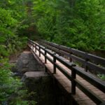 Help MWCD develop Master Trail Plan trail