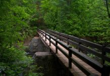 Towpath Trail section to close for riverbank stabilization in CVNP trail