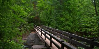 Towpath Trail section to close for riverbank stabilization in CVNP trail
