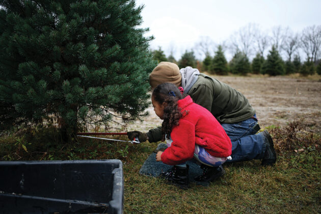 Pioneer Trails Tree Farm