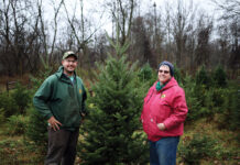 Pioneer Trails Tree Farm offers magical Christmas experience Pioneer Trails Tree Farm