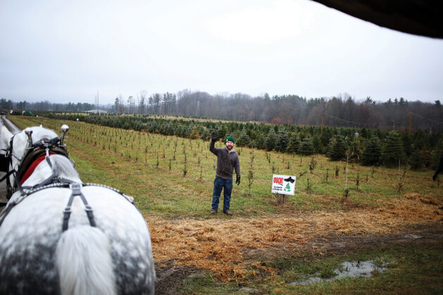 Pioneer Trails Tree Farm