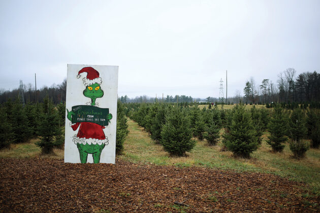 Pioneer Trails Tree Farm