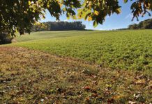 Ohio preserves 29 farms in 2023 Felumlee Farm