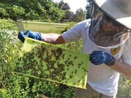 Medina County Apiary Inspector Michael Mohn
