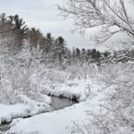 That four-letter word: S-N-O-W A snowy landscape