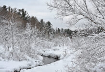 That four-letter word: S-N-O-W A snowy landscape