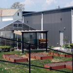 Carrollton’s farm-to-school program finds success carrollton greenhouse