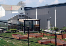 Carrollton’s farm-to-school program finds success carrollton greenhouse