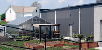 Carrollton’s farm-to-school program finds success carrollton greenhouse