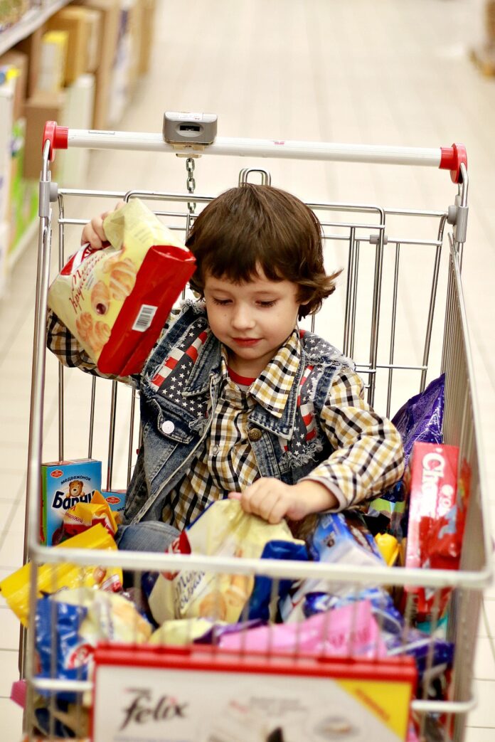 child in a shopping cart child in a shopping cart