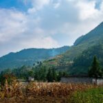 Record supplies around the world yield reduced grain prices corn in China