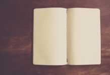 Alexander Smalley looks for a wife journal