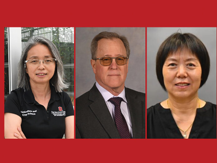 CFAES Distinguished Professors