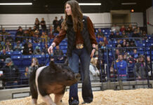 Pennsylvania Farm Show Sale of Champions results reserve champ hog pa farm show