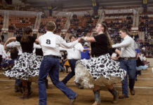 108th Pennsylvania Farm Show celebrates past and present of ag