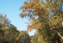 Little Beaver Creek celebrates 50 years of Wild & Scenic River designation Little Beaver Creek