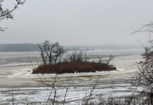 ODNR building islands for H2Ohio project island