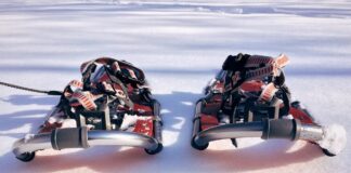 snowshoes