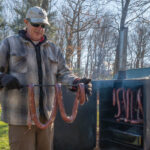 How to make deer kielbasa