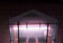 Spring marks the start of seed season Germinator 3000